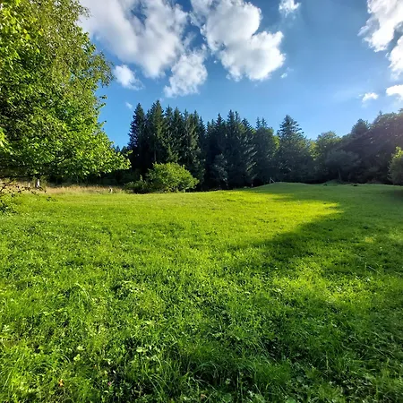 Tree House With Private Meadow In The Middle Of The Forest Bytca Exterior photo