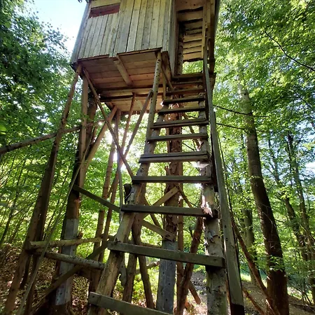Tree House With Private Meadow In The Middle Of The Forest Bytca Exterior photo