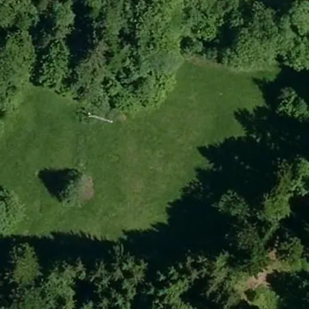 Tree House With Private Meadow In The Middle Of The Forest Bytca Exterior photo