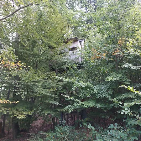 Tree House With Private Meadow In The Middle Of The Forest Bytca Exterior photo