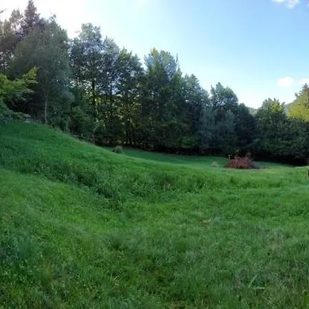 Tree House With Private Meadow In The Middle Of The Forest Bytca Exterior photo