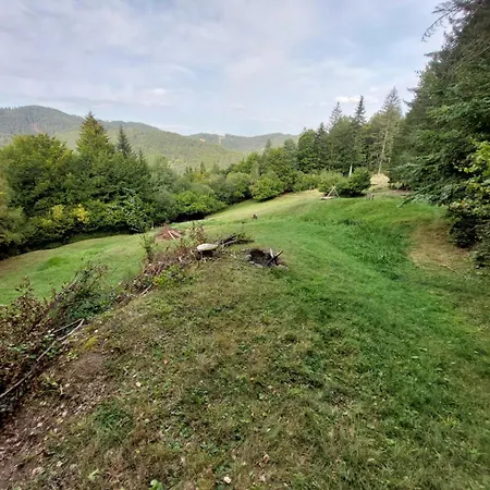 Tree House With Private Meadow In The Middle Of The Forest Bytca Exterior photo