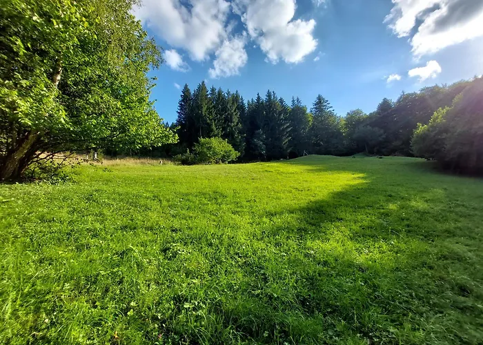Tree House With Private Meadow In The Middle Of The Forest