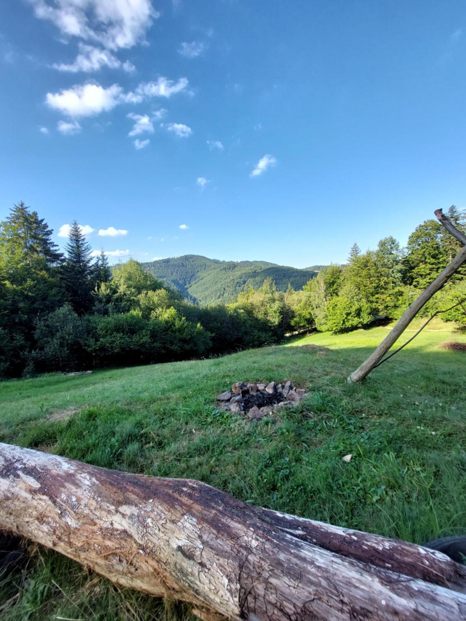 Campsite Tree House With Private Meadow In The Middle Of The Forest *