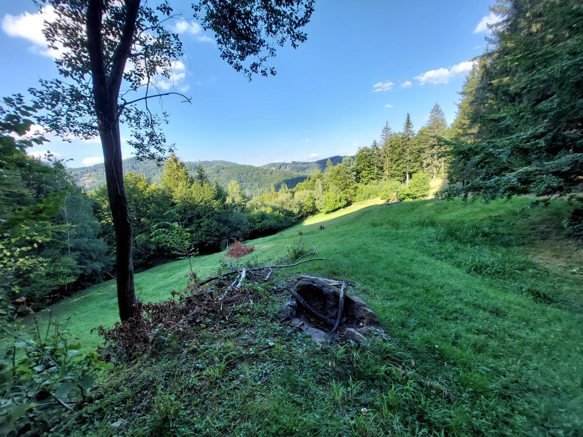 Campsite Tree House With Private Meadow In The Middle Of The Forest *