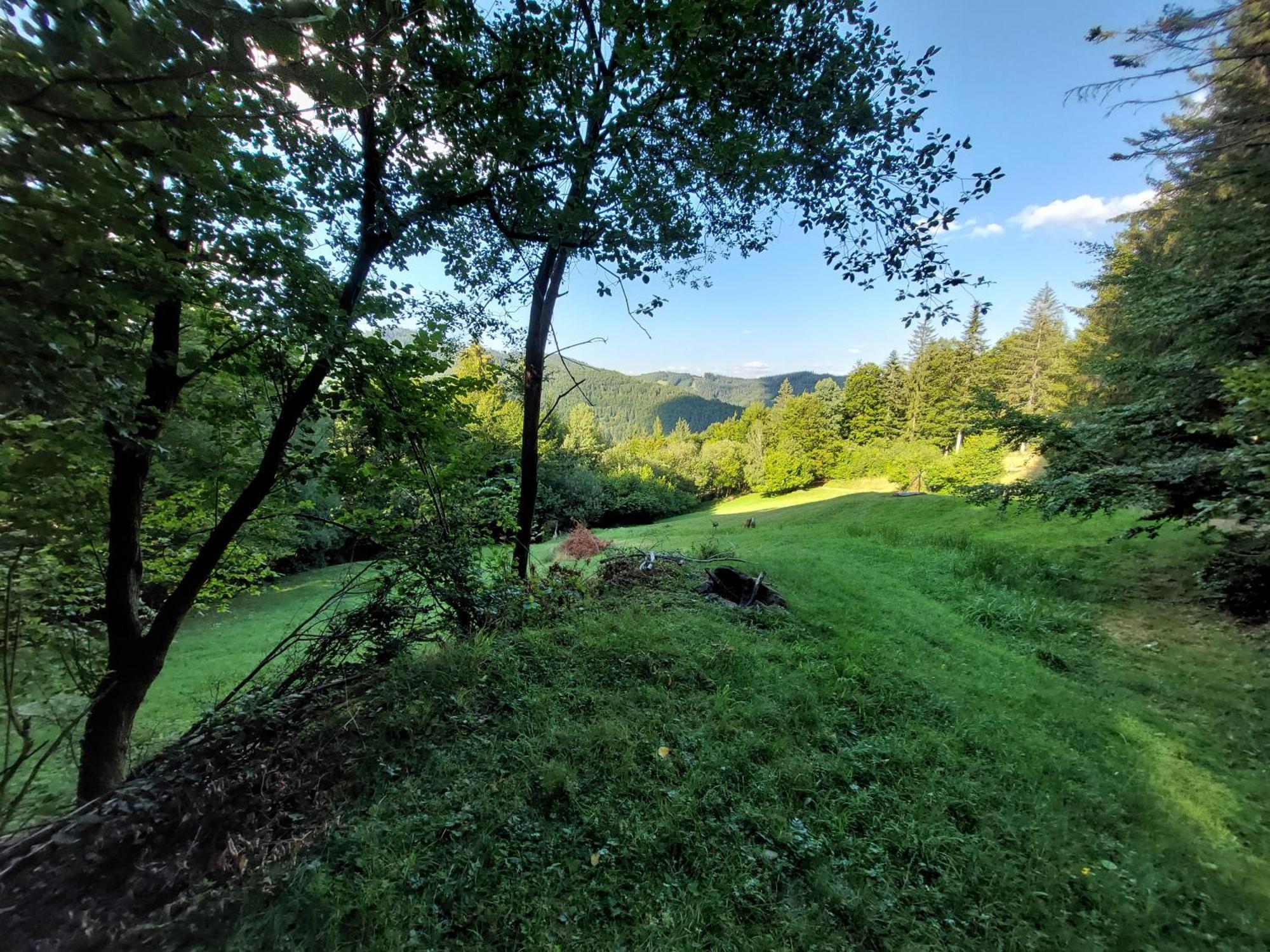 Tree House With Private Meadow In The Middle Of The Forest Кемпінг Битча (обец)