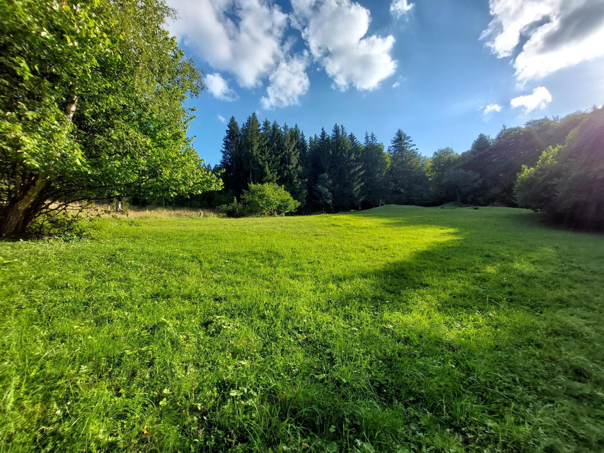 Tree House With Private Meadow In The Middle Of The Forest Bytca