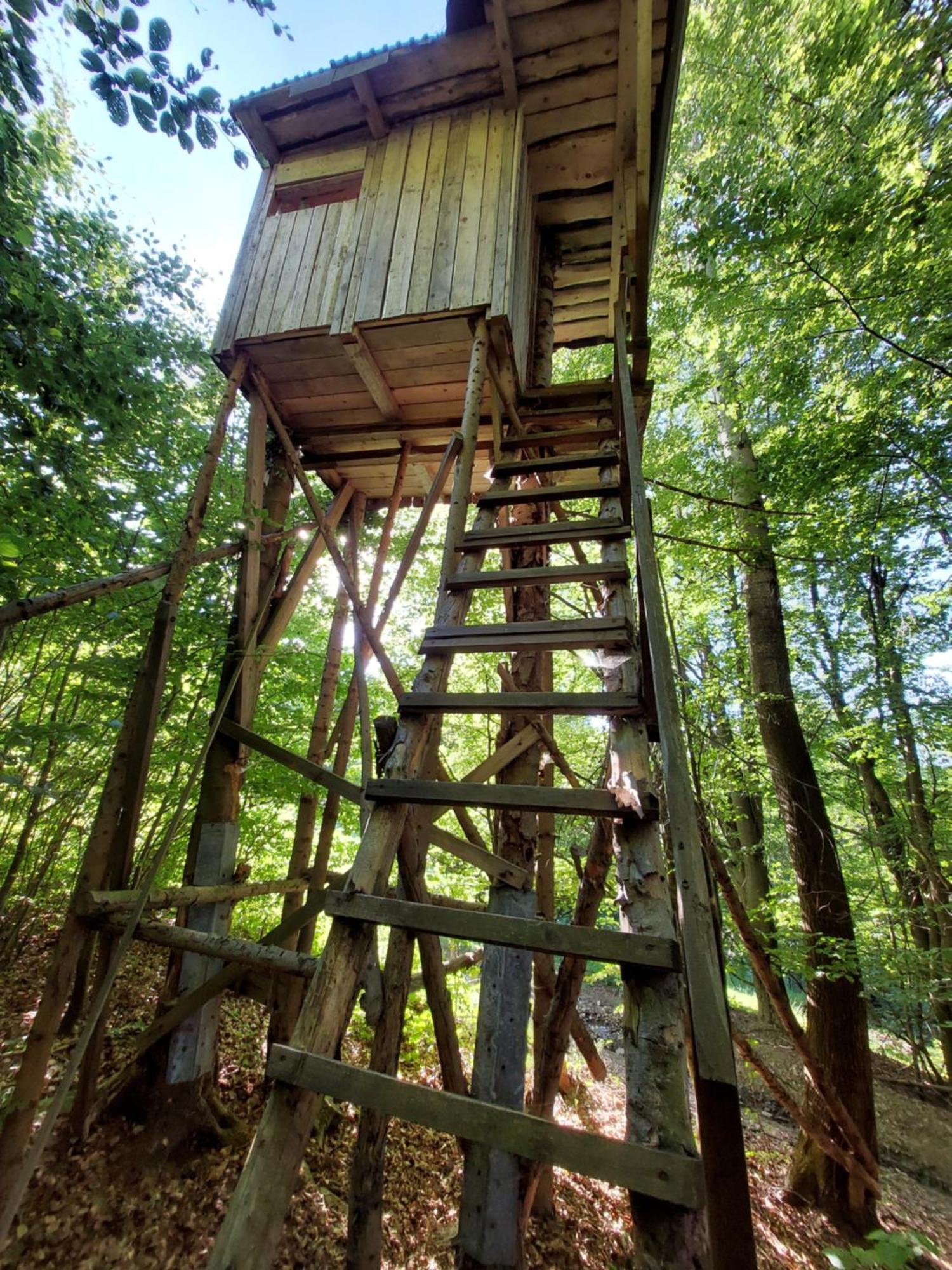 Tree House With Private Meadow In The Middle Of The Forest *