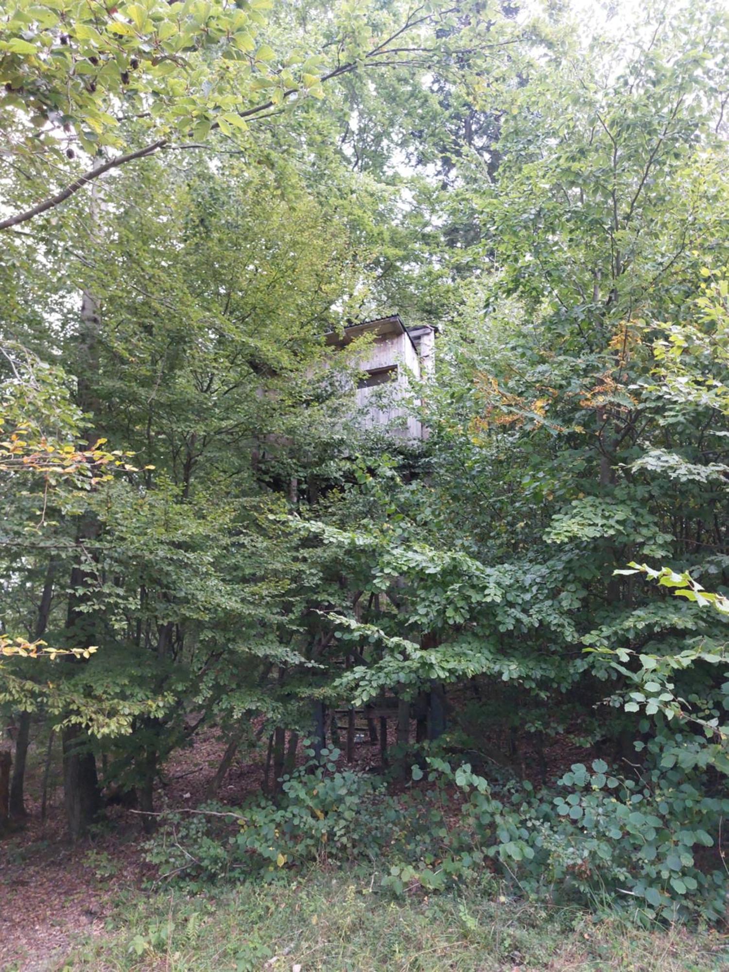 Tree House With Private Meadow In The Middle Of The Forest Bytca