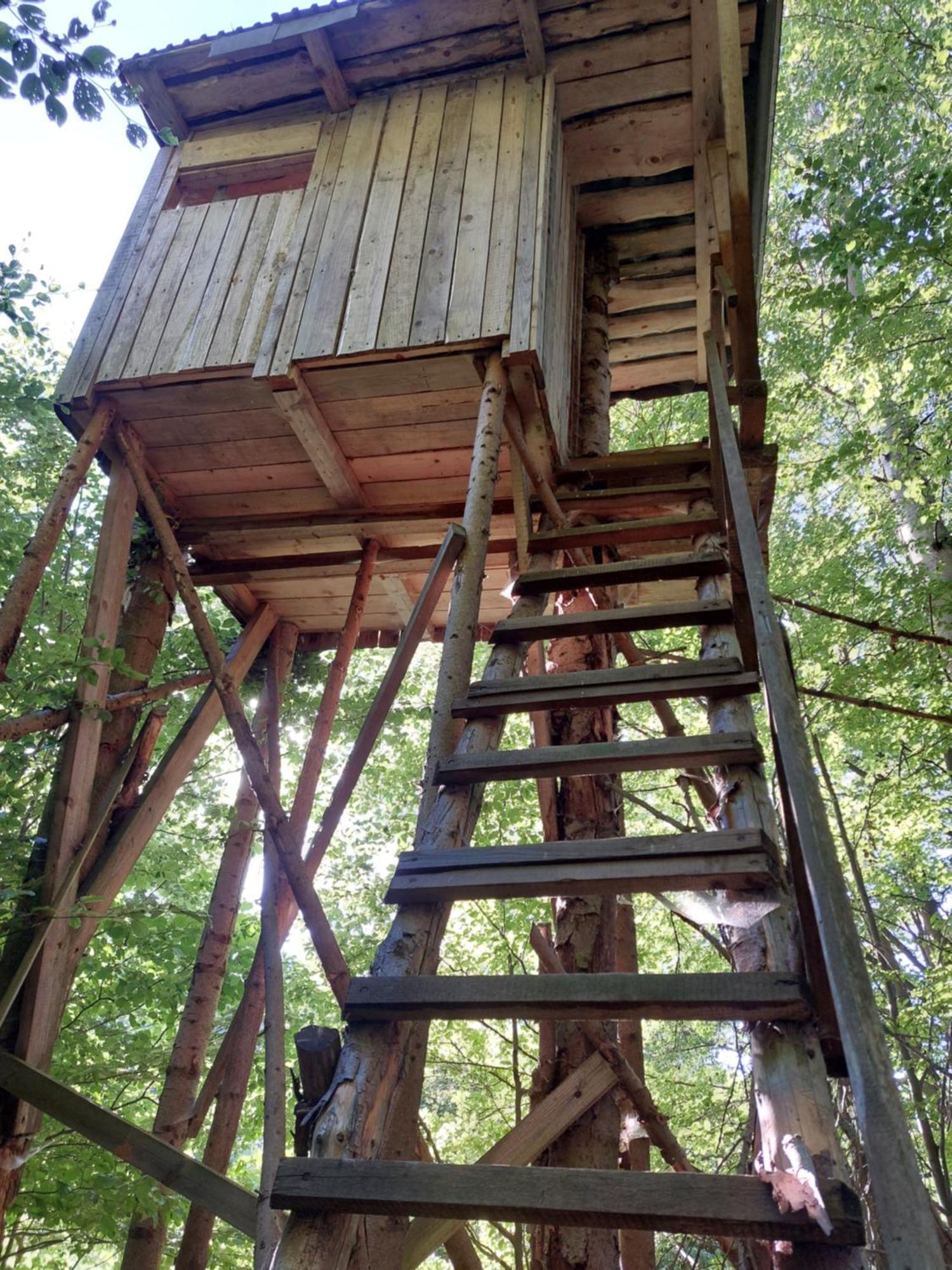 Tree House With Private Meadow In The Middle Of The Forest