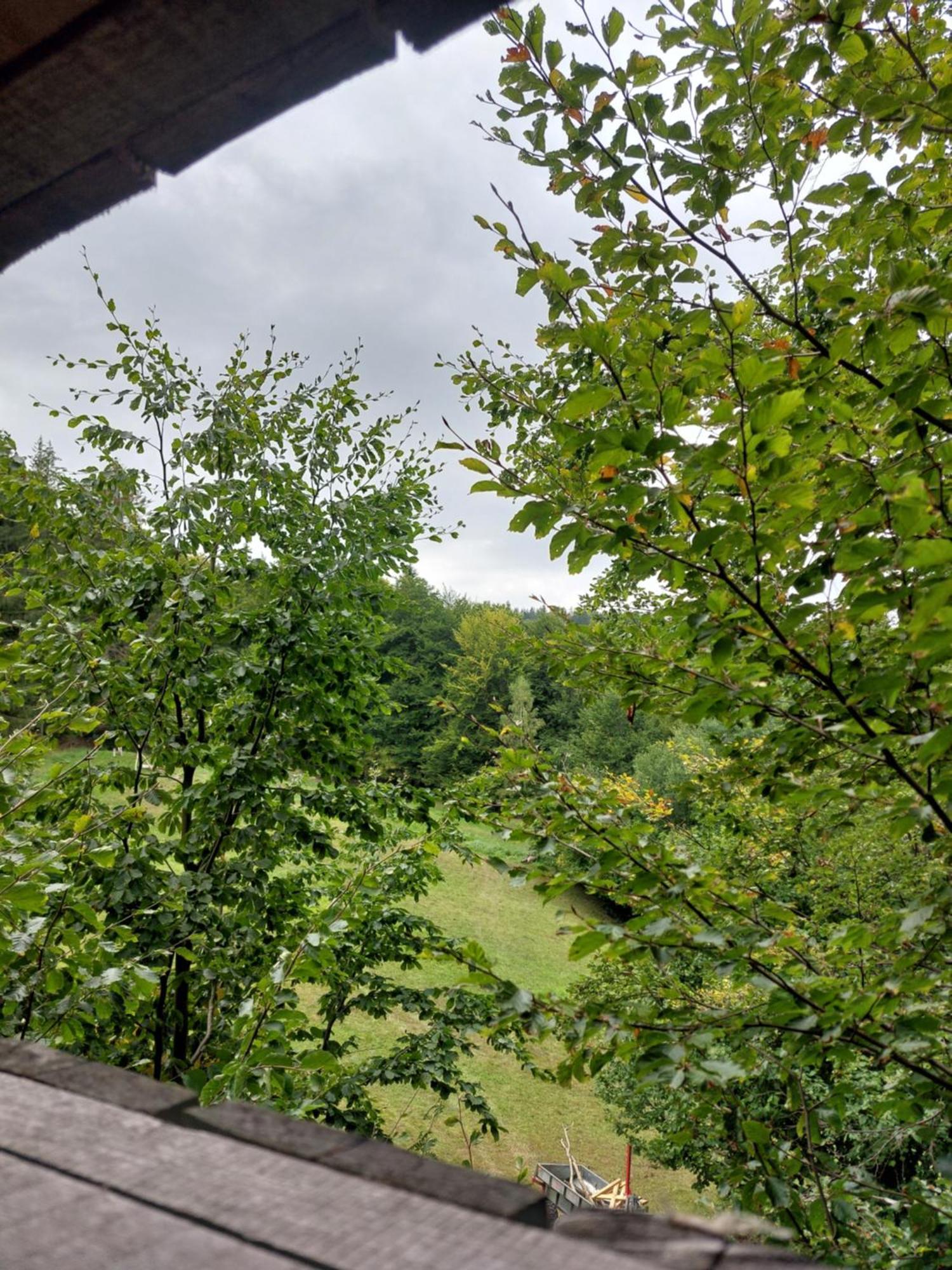 Campsite Tree House With Private Meadow In The Middle Of The Forest *